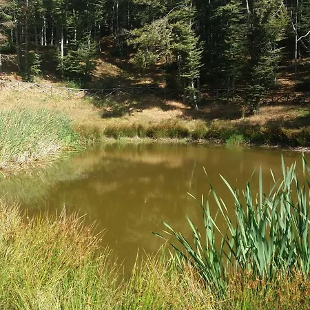 Borgo Mezzo * Pratovecchio